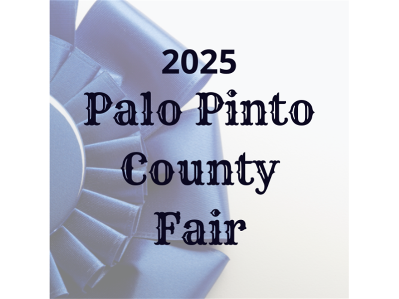 Logo for 2025 Palo Pinto County Fair