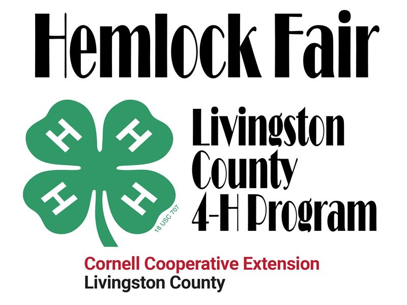 Logo for 2025 Hemlock Fair