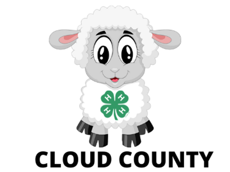 Logo for 2025 Cloud County Fair