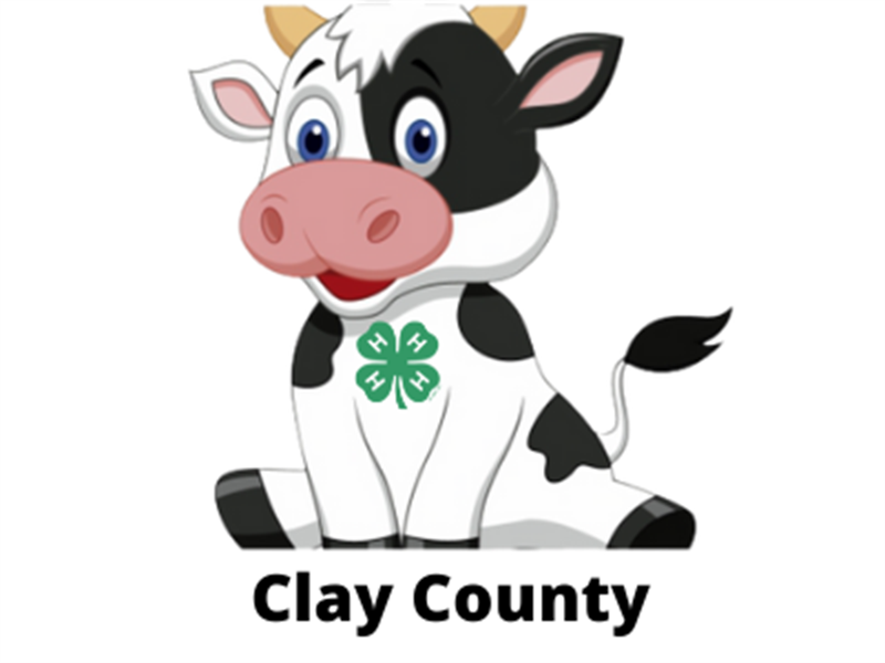 Logo for 2025 Clay County Fair