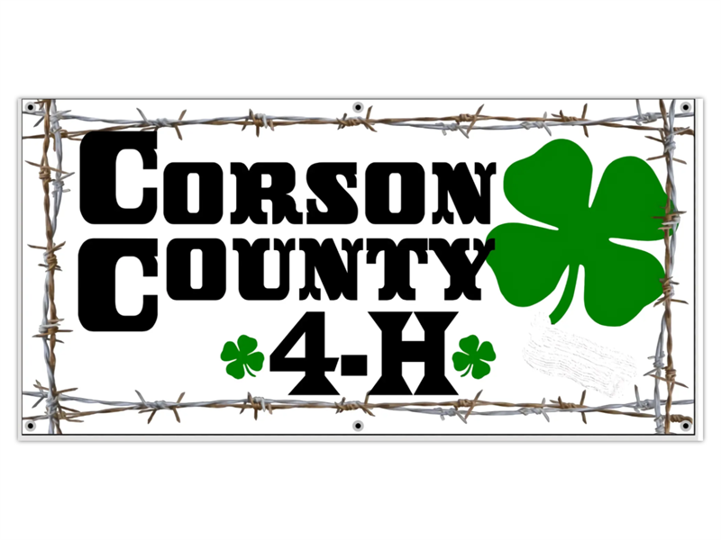 Logo for 2025 Corson County Fair